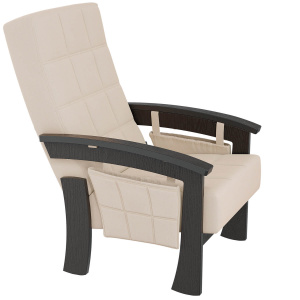 Кресло для отдыха Nordic венге шпон/Maxx 100