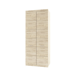 Шкаф 2DG OSKAR дуб Санремо