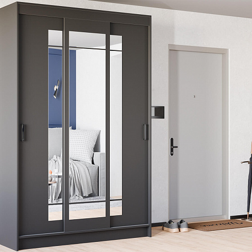 Шкаф-купе БРУНО 4 Графит