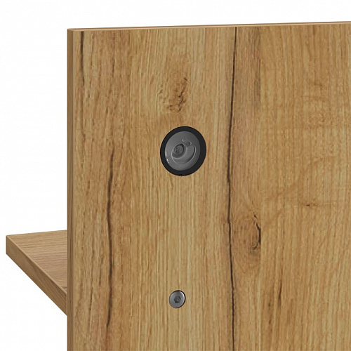 Вешалка 1 Бодрум дуб крафт золотой