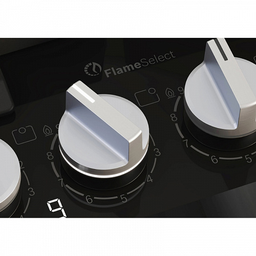 Встраиваемая газовая панель BOSCH PPP6A6I40