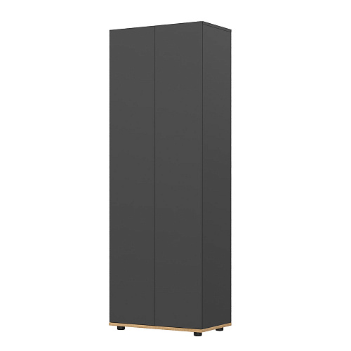 Шкаф НК AMAZON Графит/Дуб Вотан