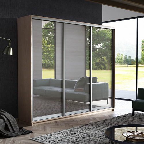 Шкаф-купе 3-х дверный Экспресс Экспенс 2200х2100х450 мм