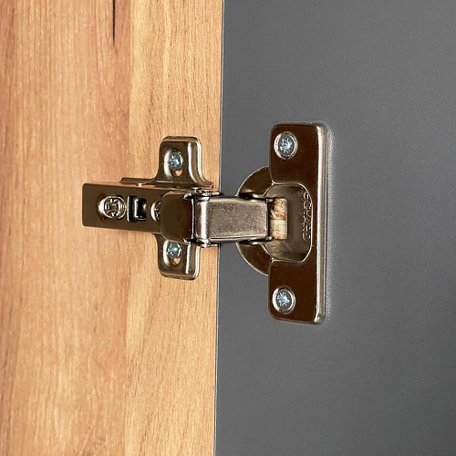 Шкаф двухдверный Адам дуб крафт золотой/графит