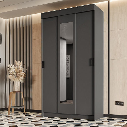 Шкаф-купе Эко Графит