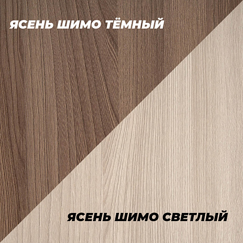 Шкаф-купе Эко Ясень шимо